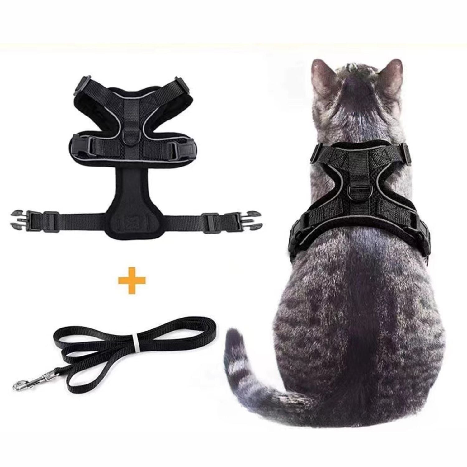 Veilig Kattenharnas lijnenset met adreslabel en comfortabel