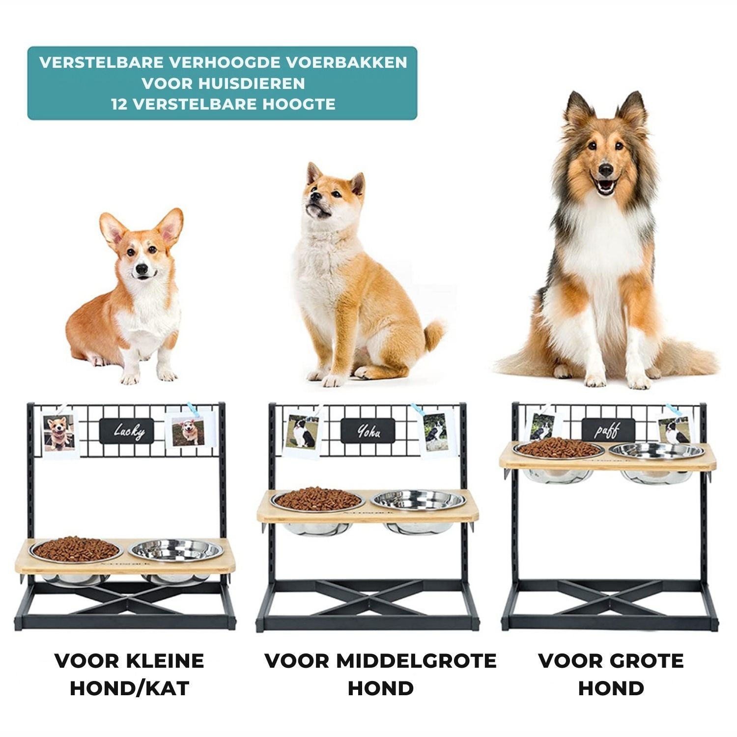 Verhoogde Hondenbak voor katten en honden met duurzame bak en verstelbare hoogte