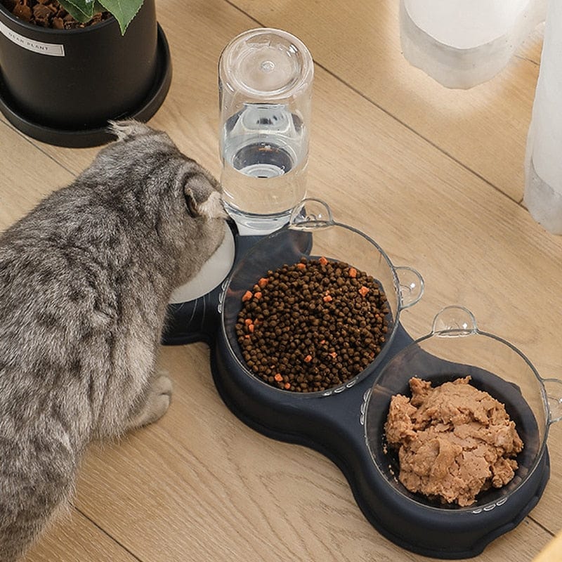 Kat drinkt uit de Voerbak en waterdispenser voor katten en kleine honden 3-in-1