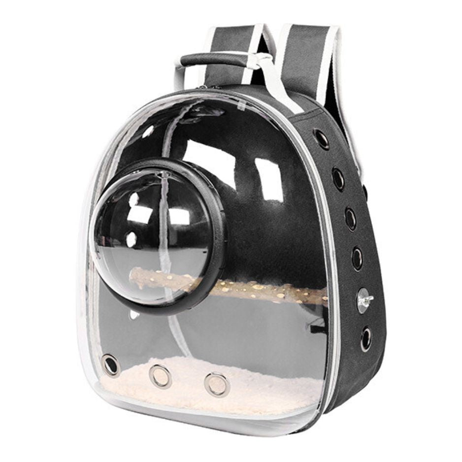 Vogel Rugzak met doorzichtige voorkant