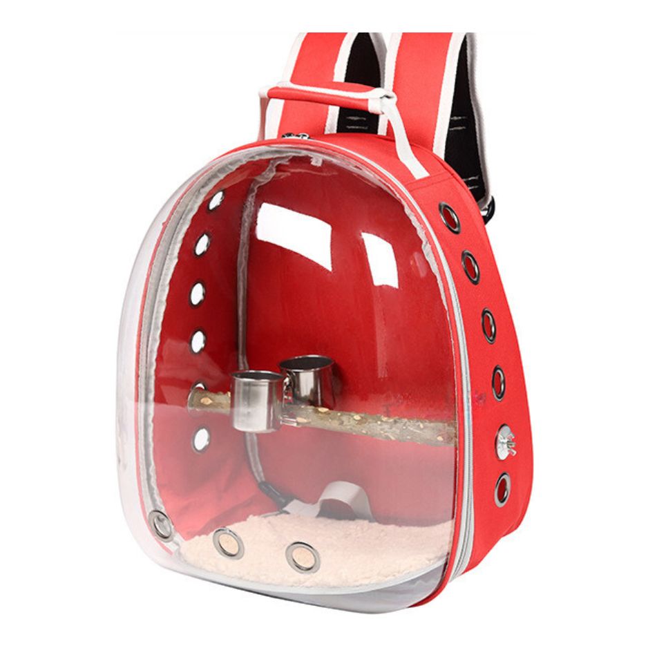 Vogel Rugzak met doorzichtige voorkant