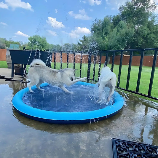 Twee honden spelen met water spray mat