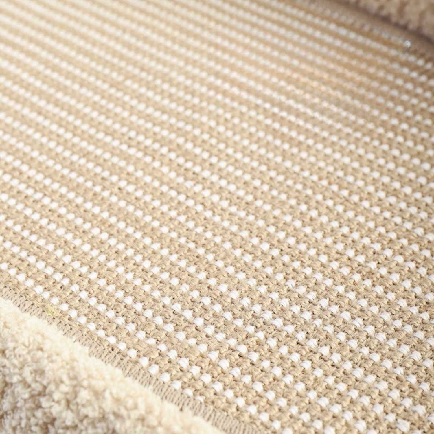 alles in een kat sofa gebogen ontwerp