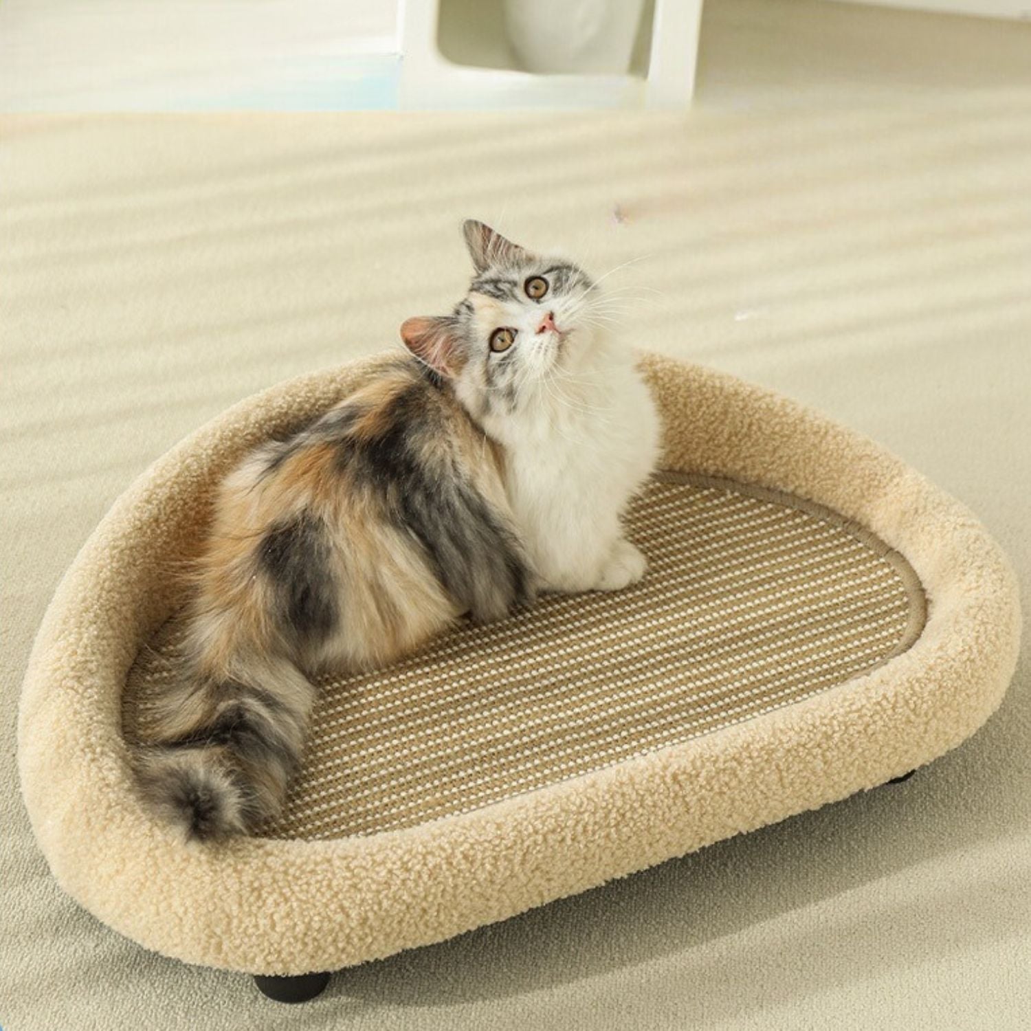 alles in een kat sofa kat ontspant