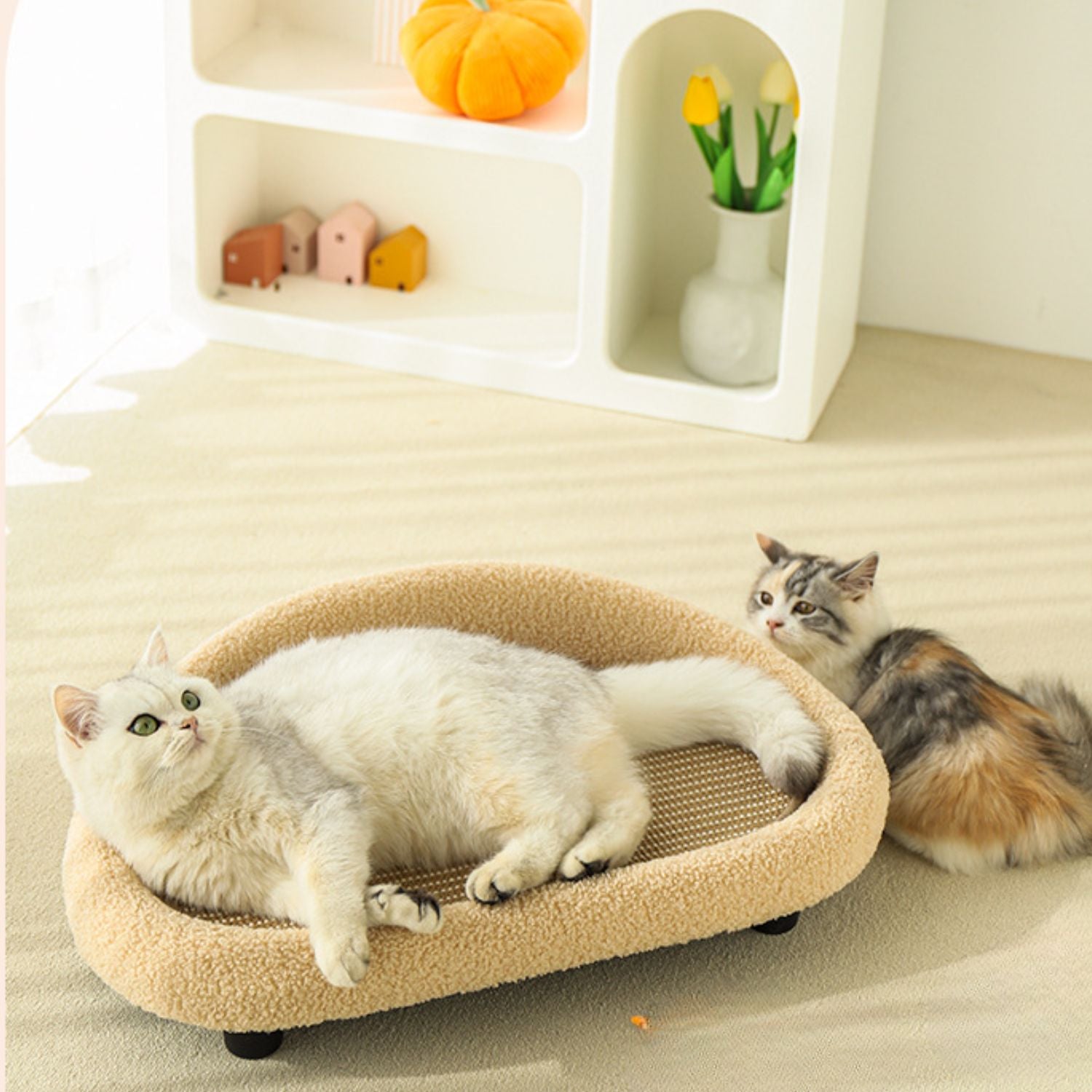 alles in een kat sofa twee katten ontspannen