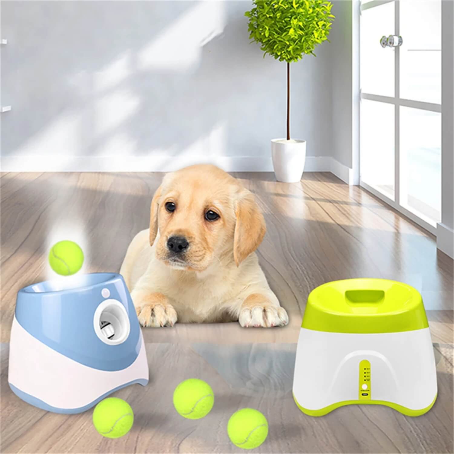 automatische honden ballen werper blauwe puppy spelen