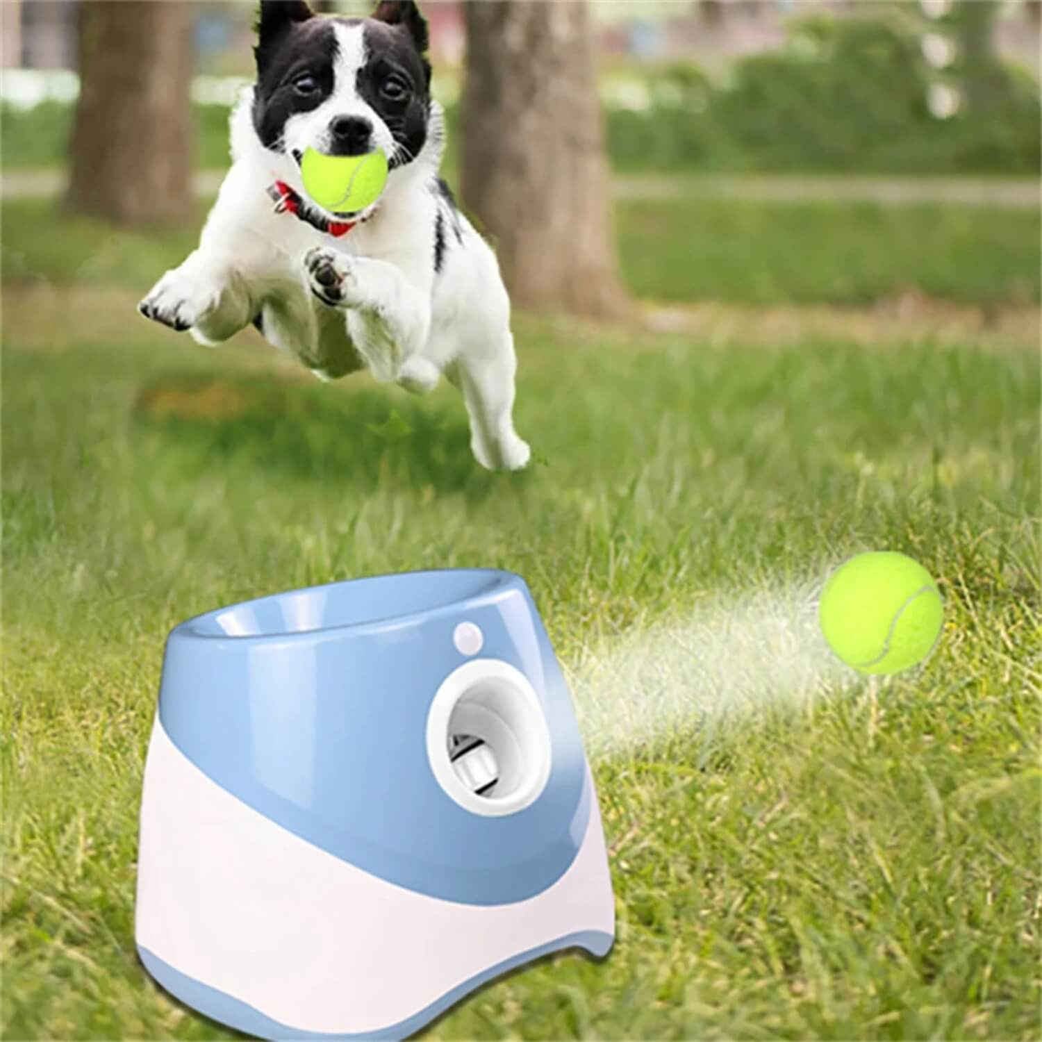 automatische hondenbal werper blauwe hond springend