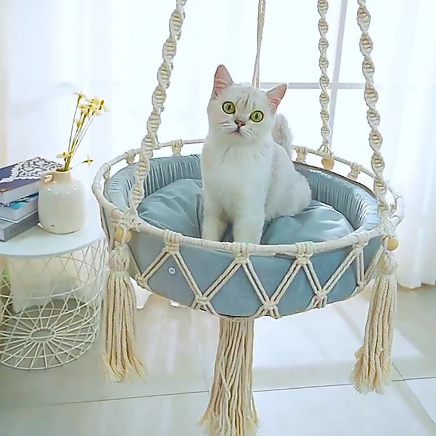 cat hangmat raam eenvoudig installeren en comfortabel