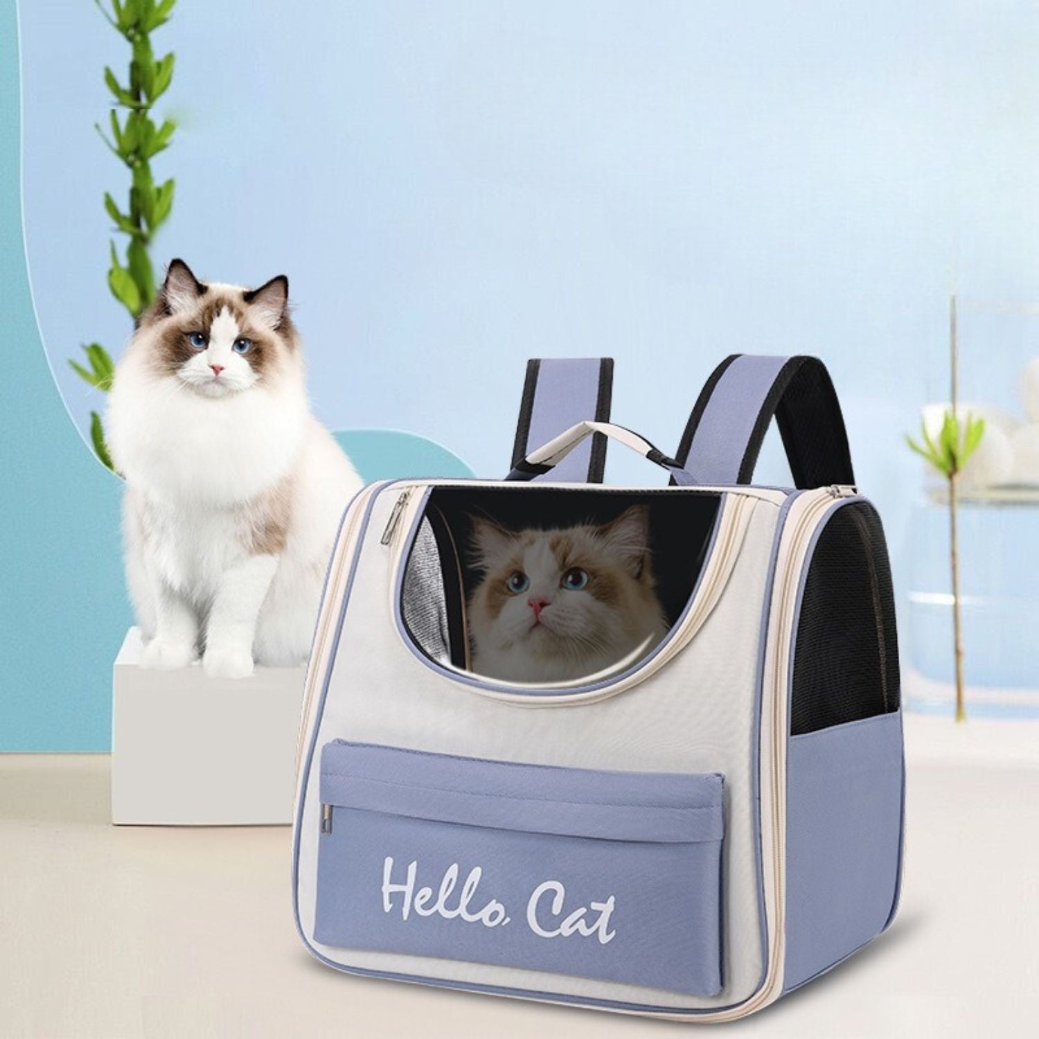 draagbare kattenrugzak met doorzichtig raam