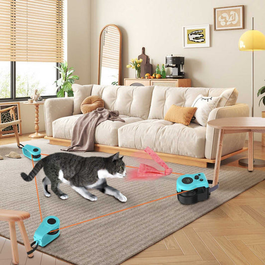 elektrisch katten speelkoord speelset met klemmen in woonkamer interactie met kat