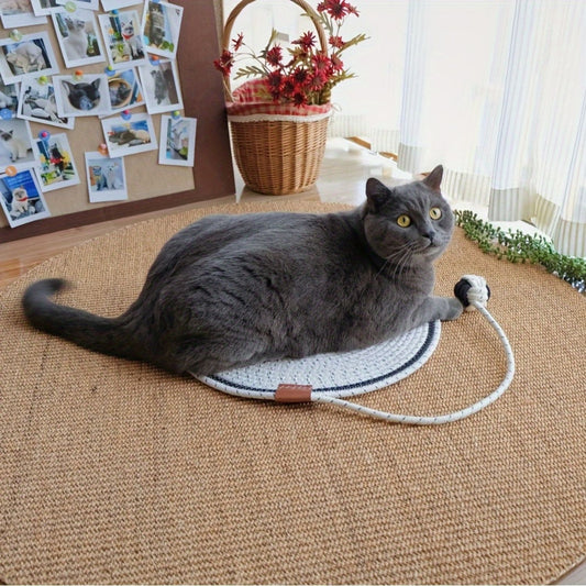 grijze kat ligt op een witte ronde krabmat