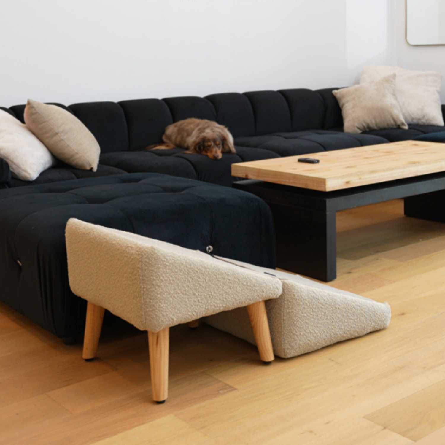 honden sofa trap wollen hondentrapje naast zwarte bank