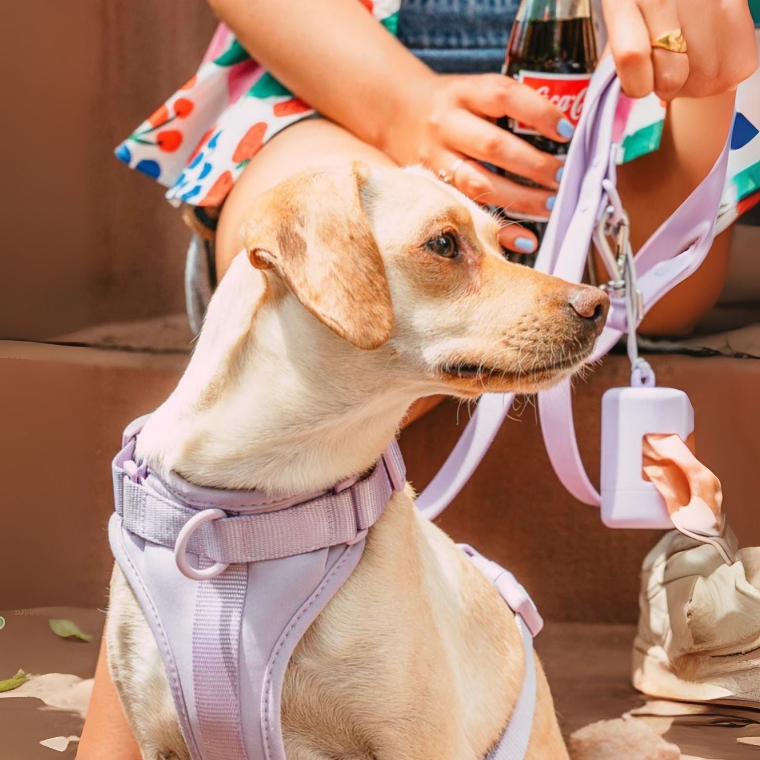 hondenharnas set lavendel met riem en poepzakjeshouder voor hond
