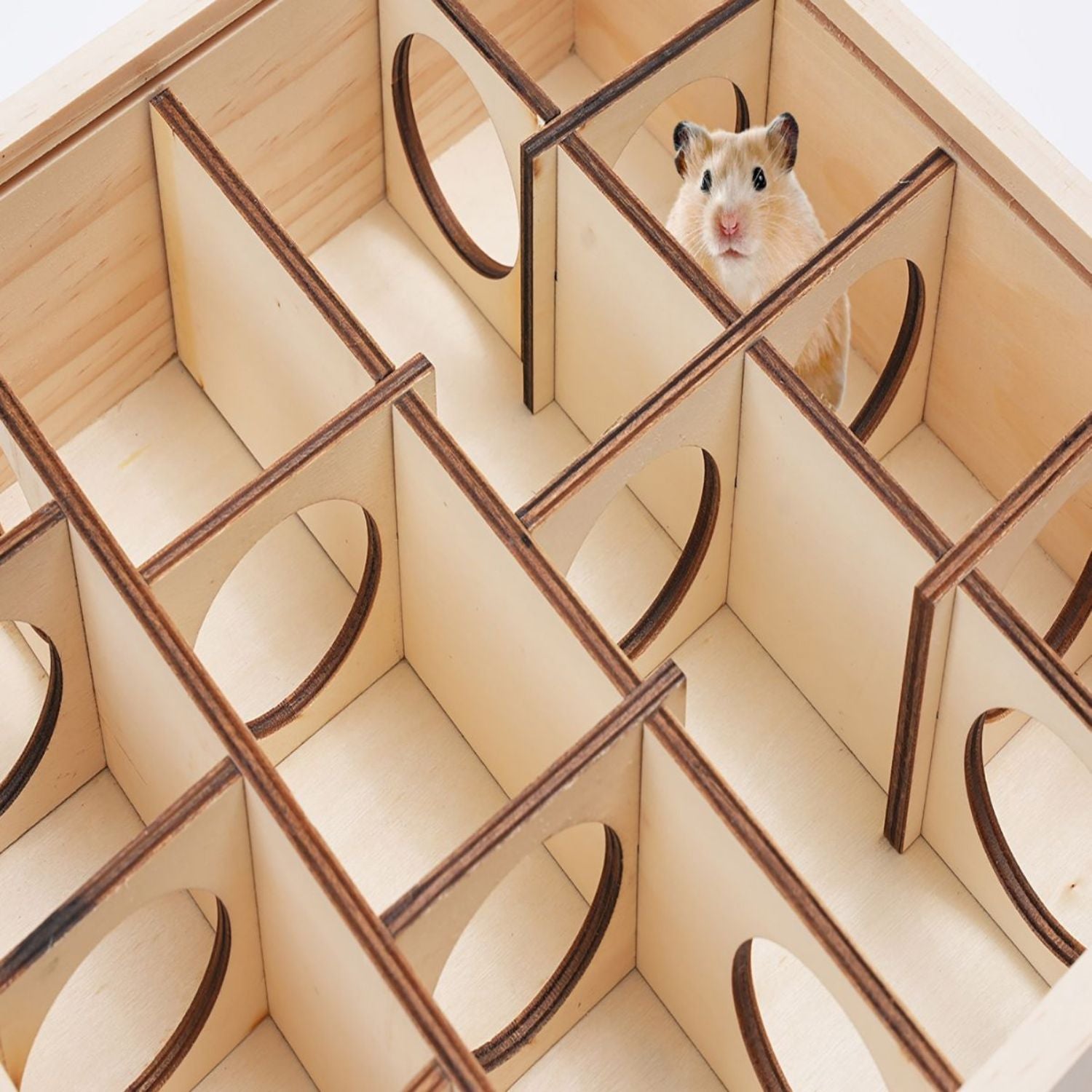 houten hamster doolhof hamster speelt in doolhof met openingen