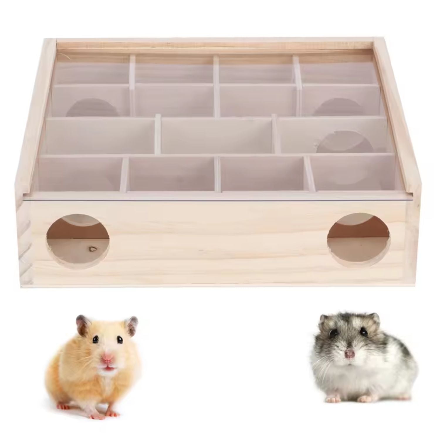 houten hamster doolhof vooraanzicht met hamsters en doorzichtige deksel
