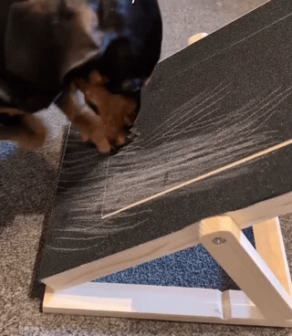 houten honden nagelkrabber close up actie gebruik effectief nagelvijlen