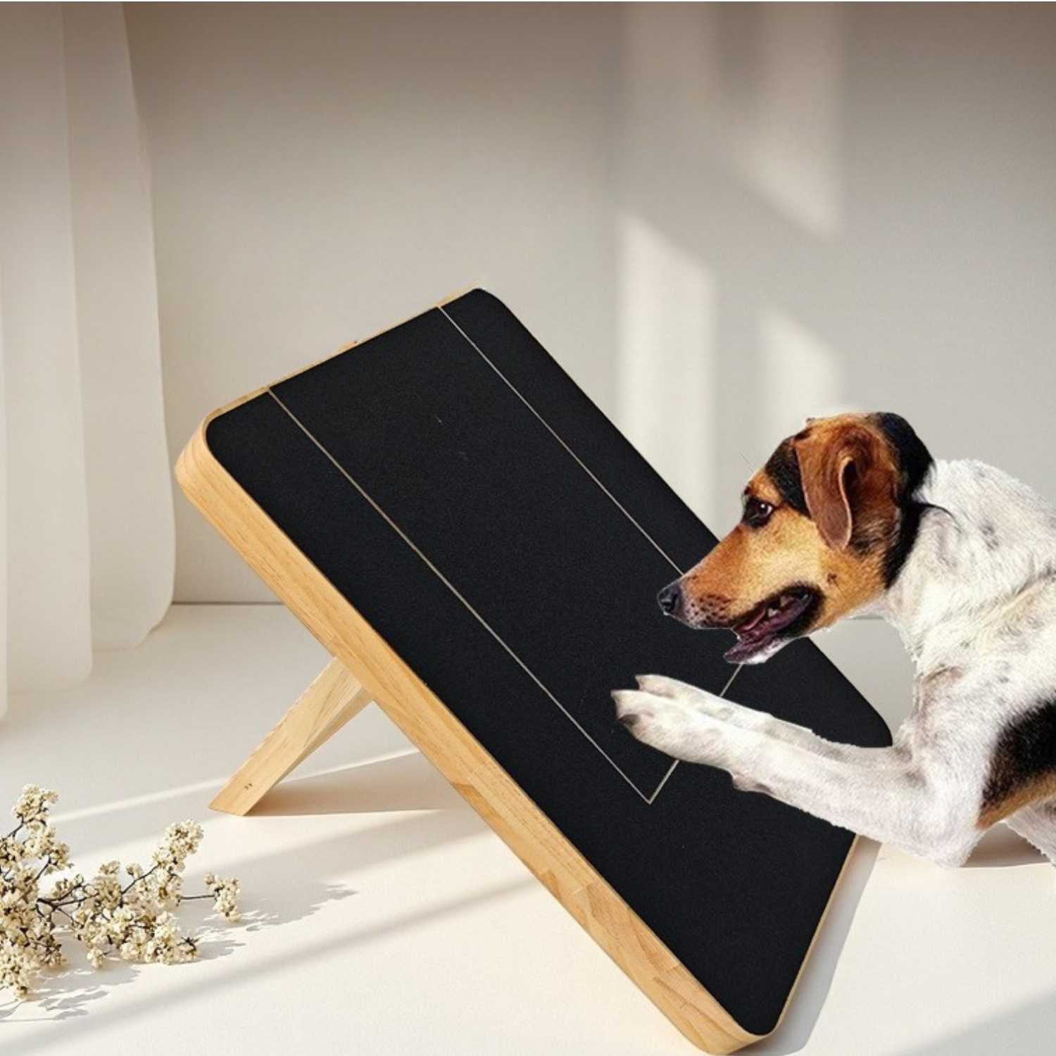 houten honden nagelkrabber hond in actie natuurlijk vijlen