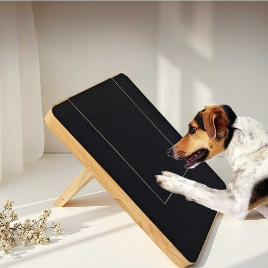 houten honden nagelkrabber hond in actie natuurlijk vijlen