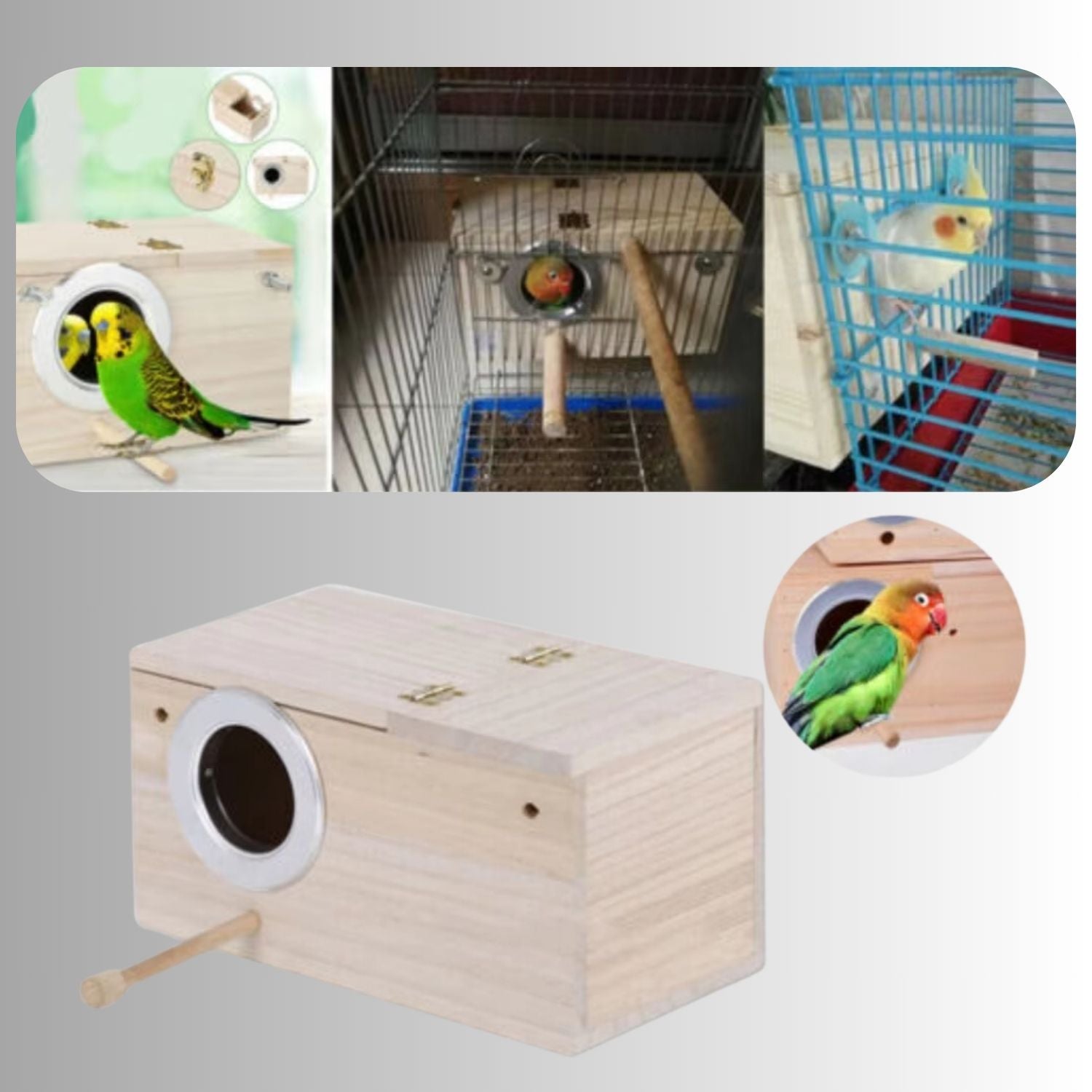 houten papegaaien kweekbox in kooi met vogels