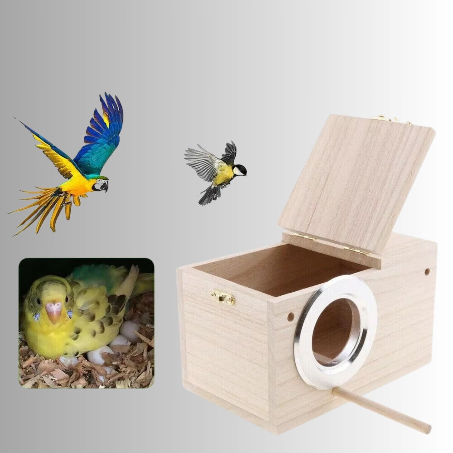 houten papegaaien kweekbox open met vliegende vogels
