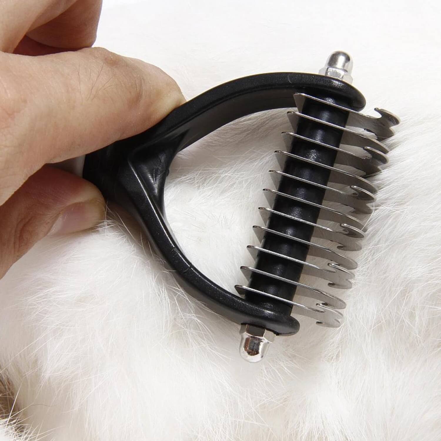 huisdier verzorging kam close up ondervacht verwijdering