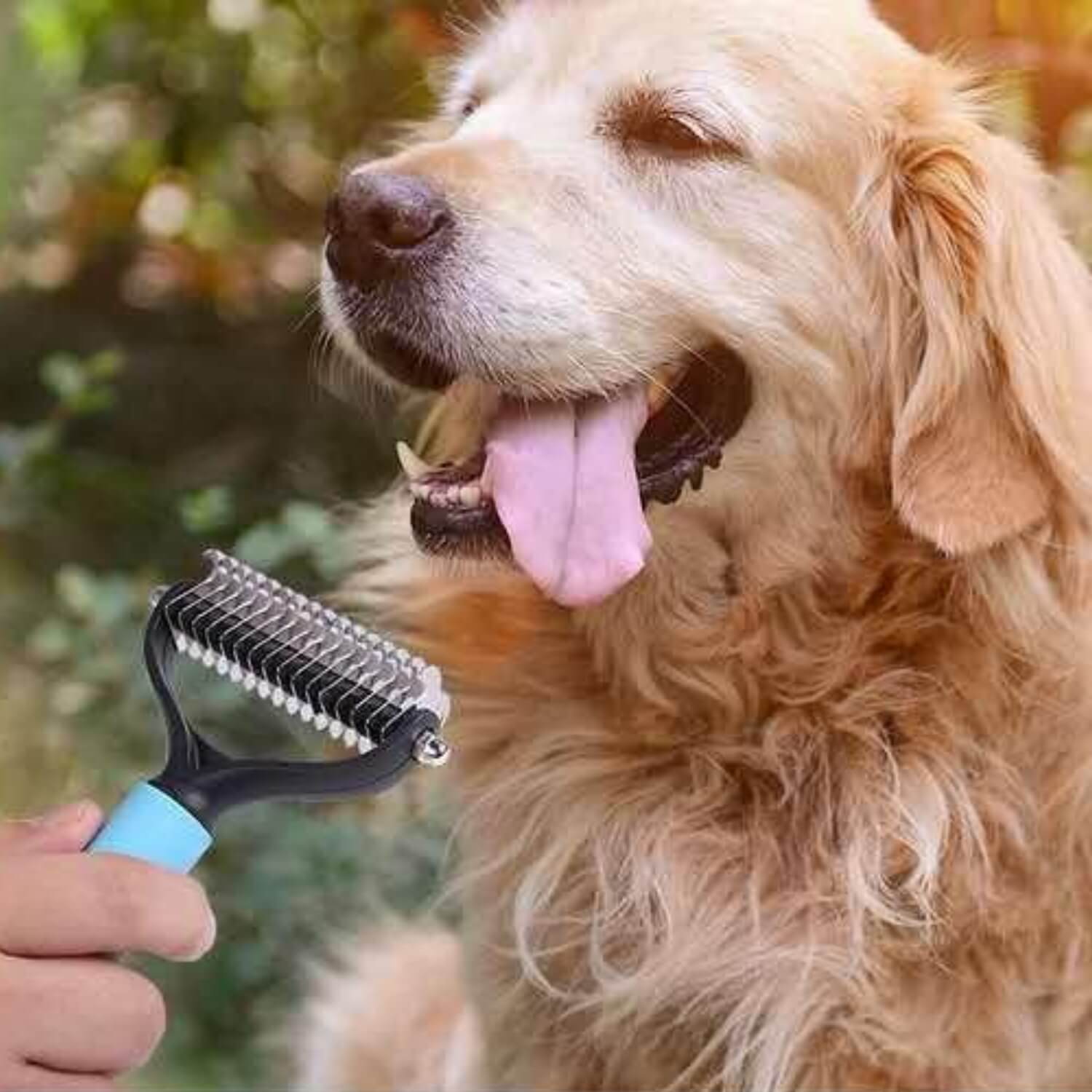 huisdier verzorging kam happy dog verzorging