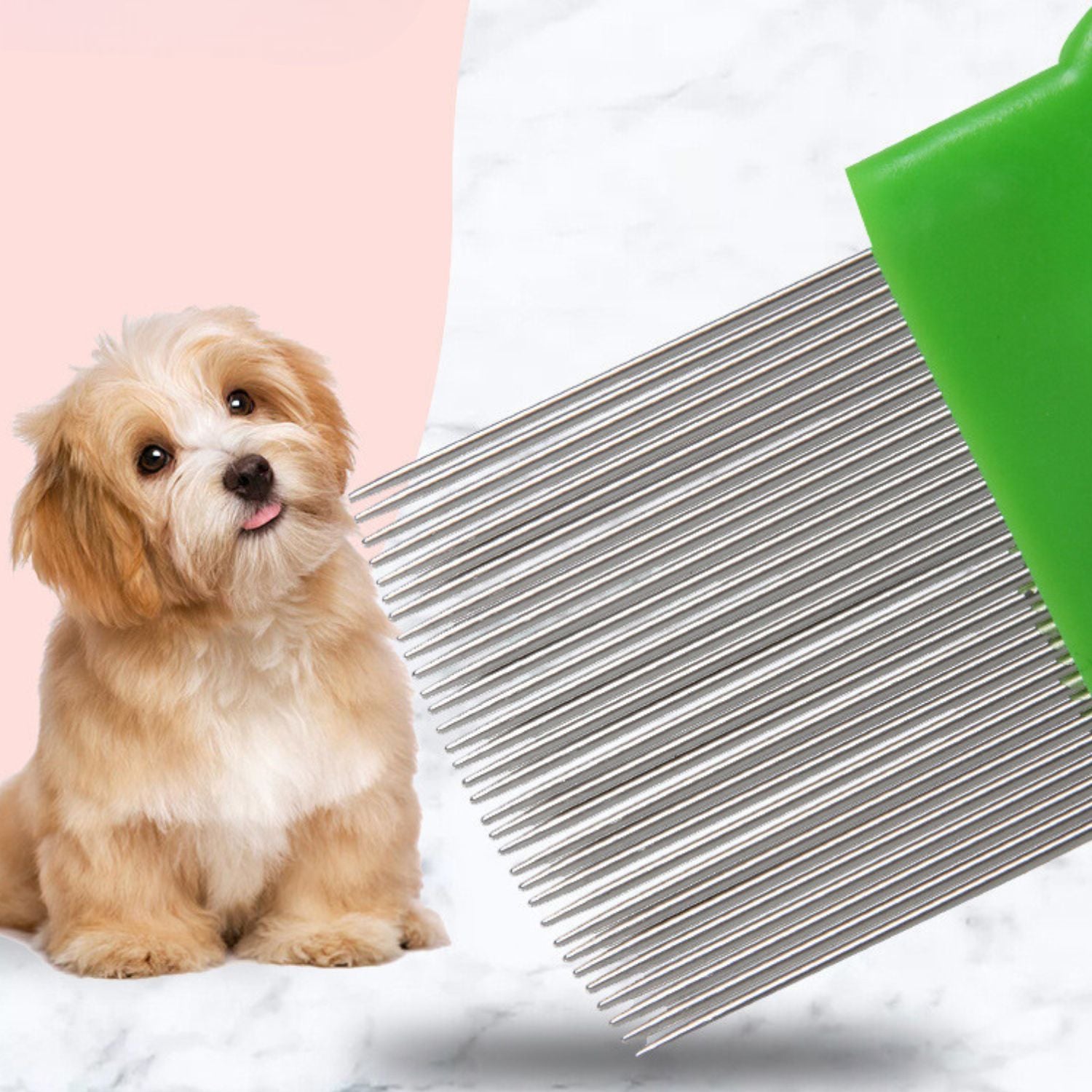 huisdier vlooienkam groen kleine hond