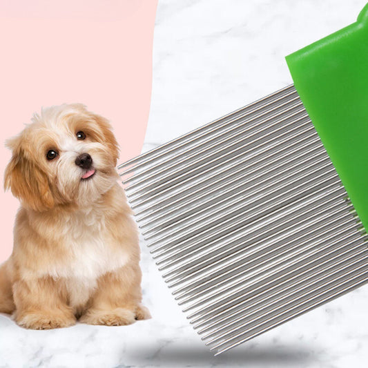 huisdier vlooienkam groen kleine hond