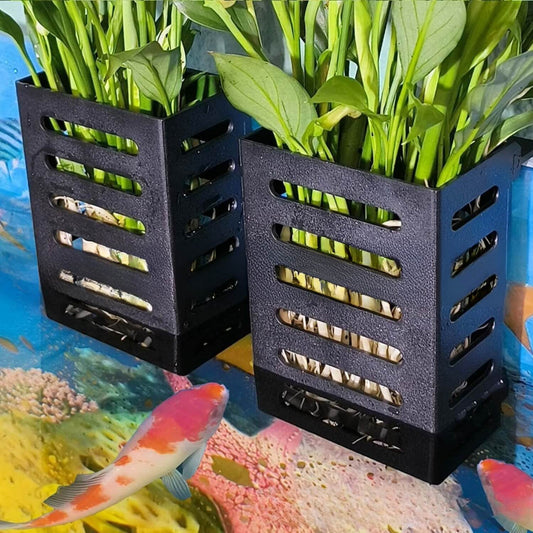 hydroponische pot met waterplanten en vissen