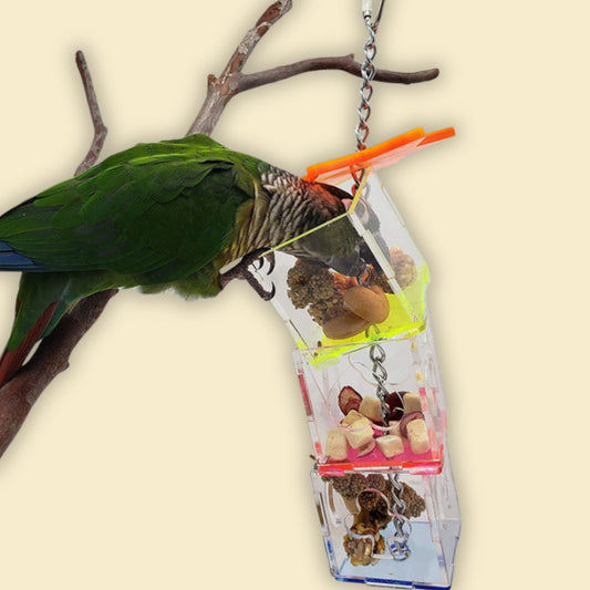 interactief voedsel zoekapparaat vogel bekijkt voer in transparante kubussen