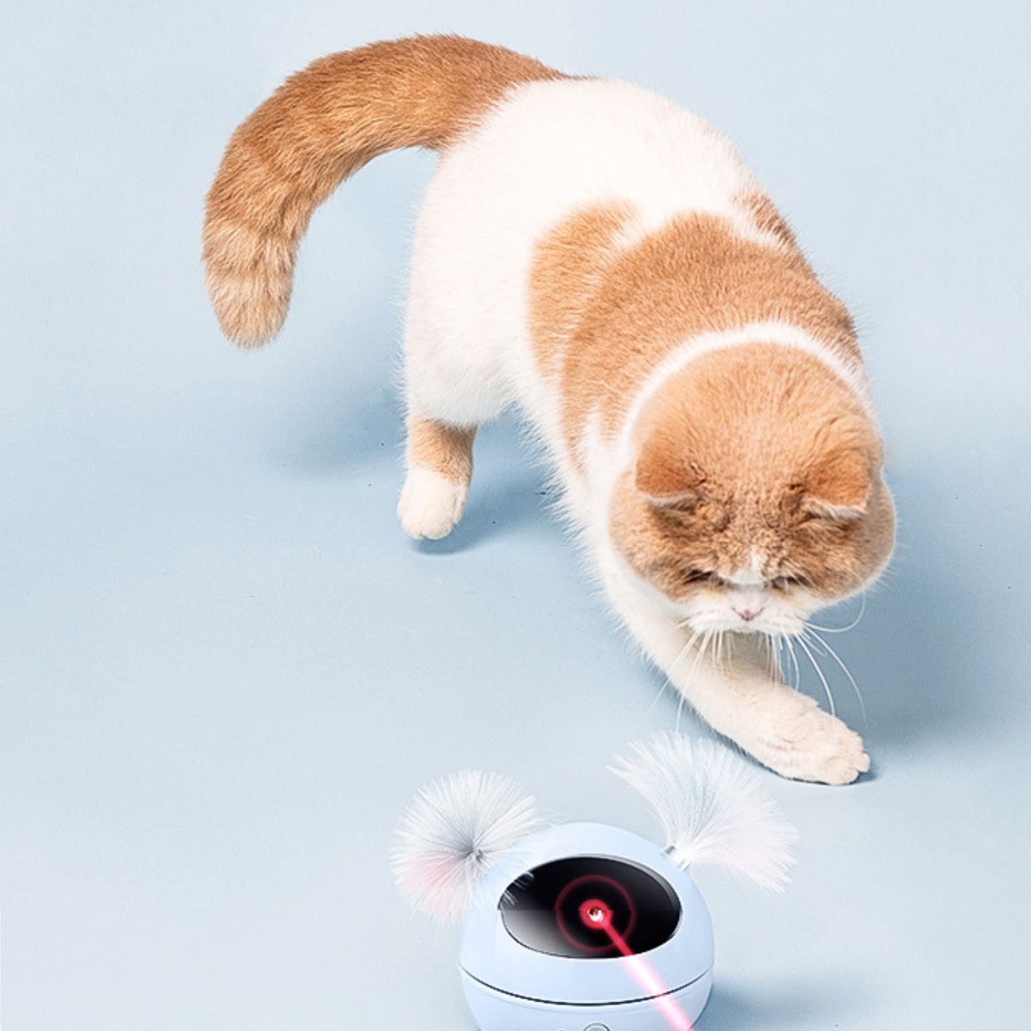 interactieve kat laser teaser speelse actie