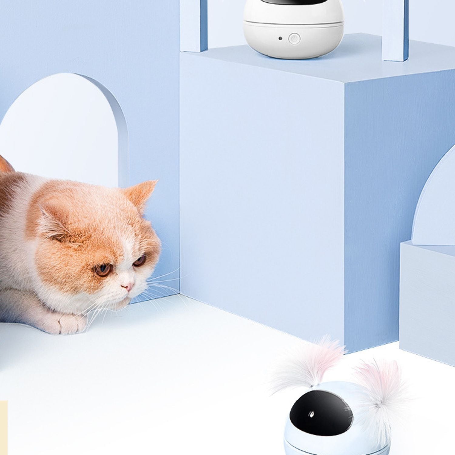 interactieve kat laser teaser verkenning omgeving