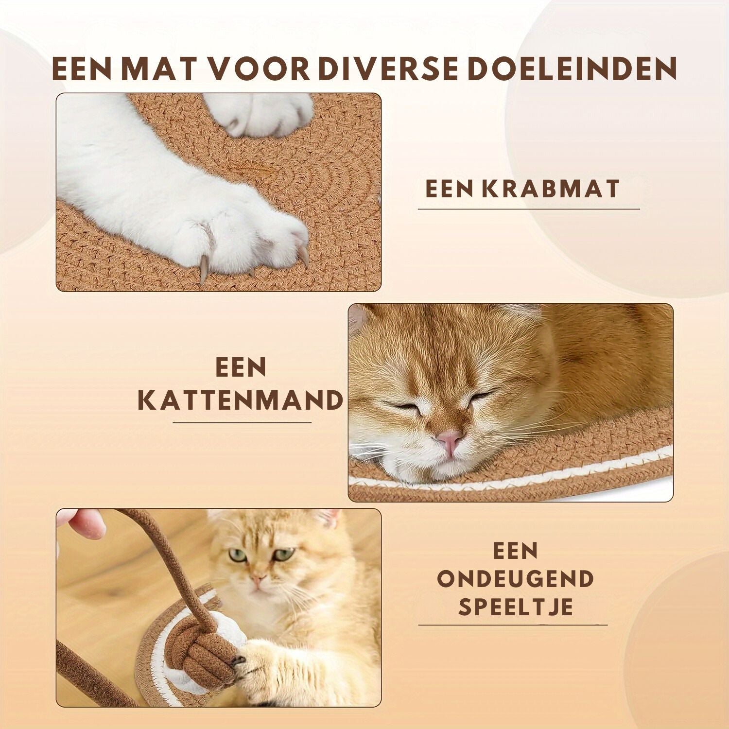 kat gebruikt krabmat als speeltje en slaapmat