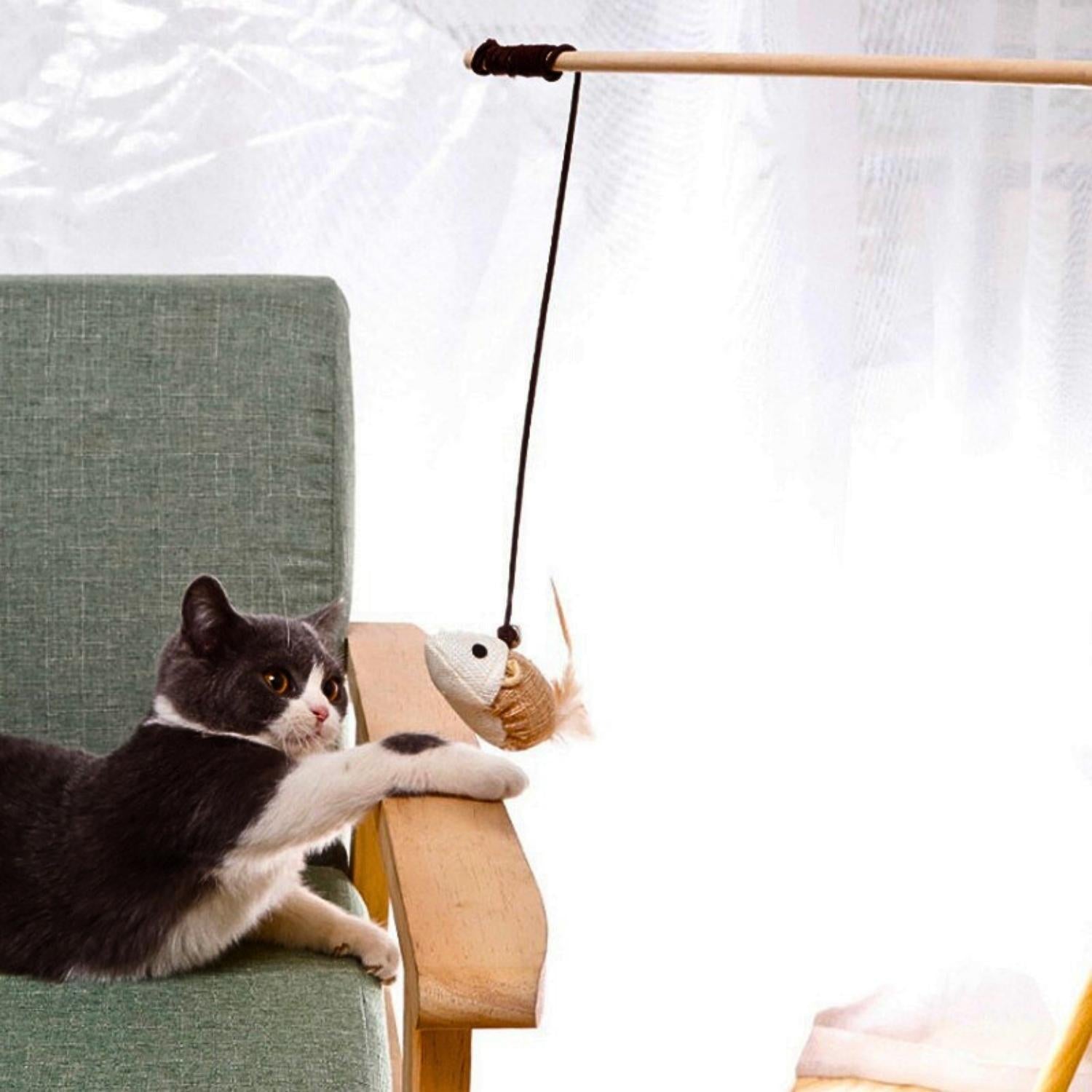 kat reikt naar linnen muis op de bank