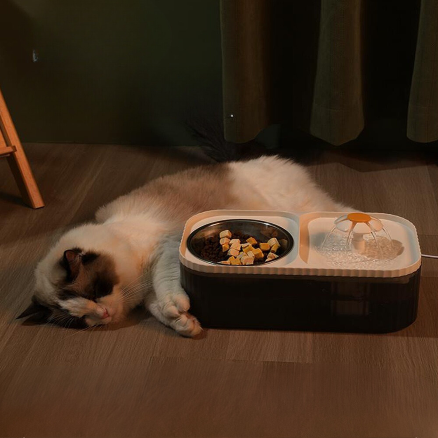 kat slaapt naast slimme voerbak