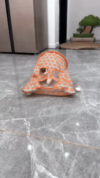 katten tunnelzak met knisper lifestyle gebruik thuis realistische foto