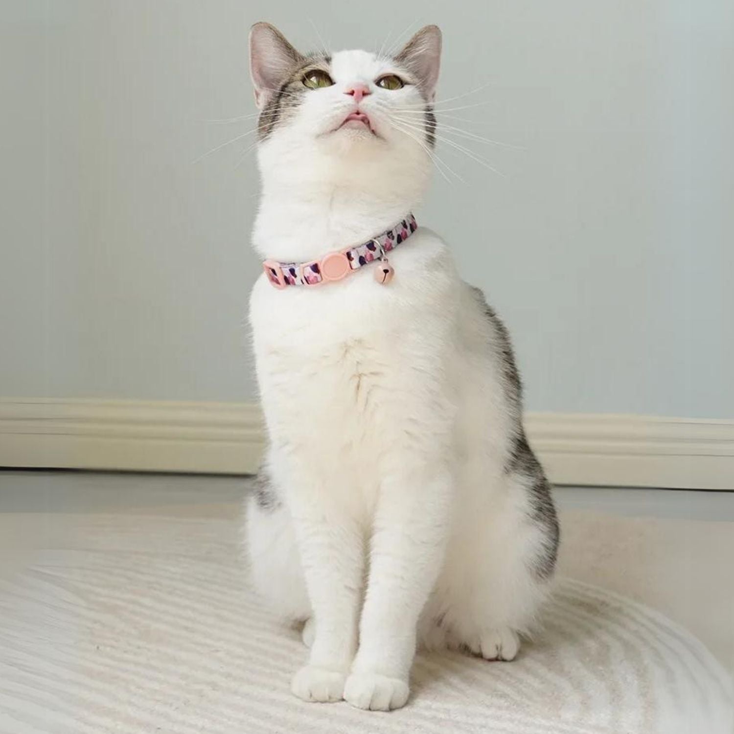 kattenhalsband kit kat met halsband en schattige roze strik