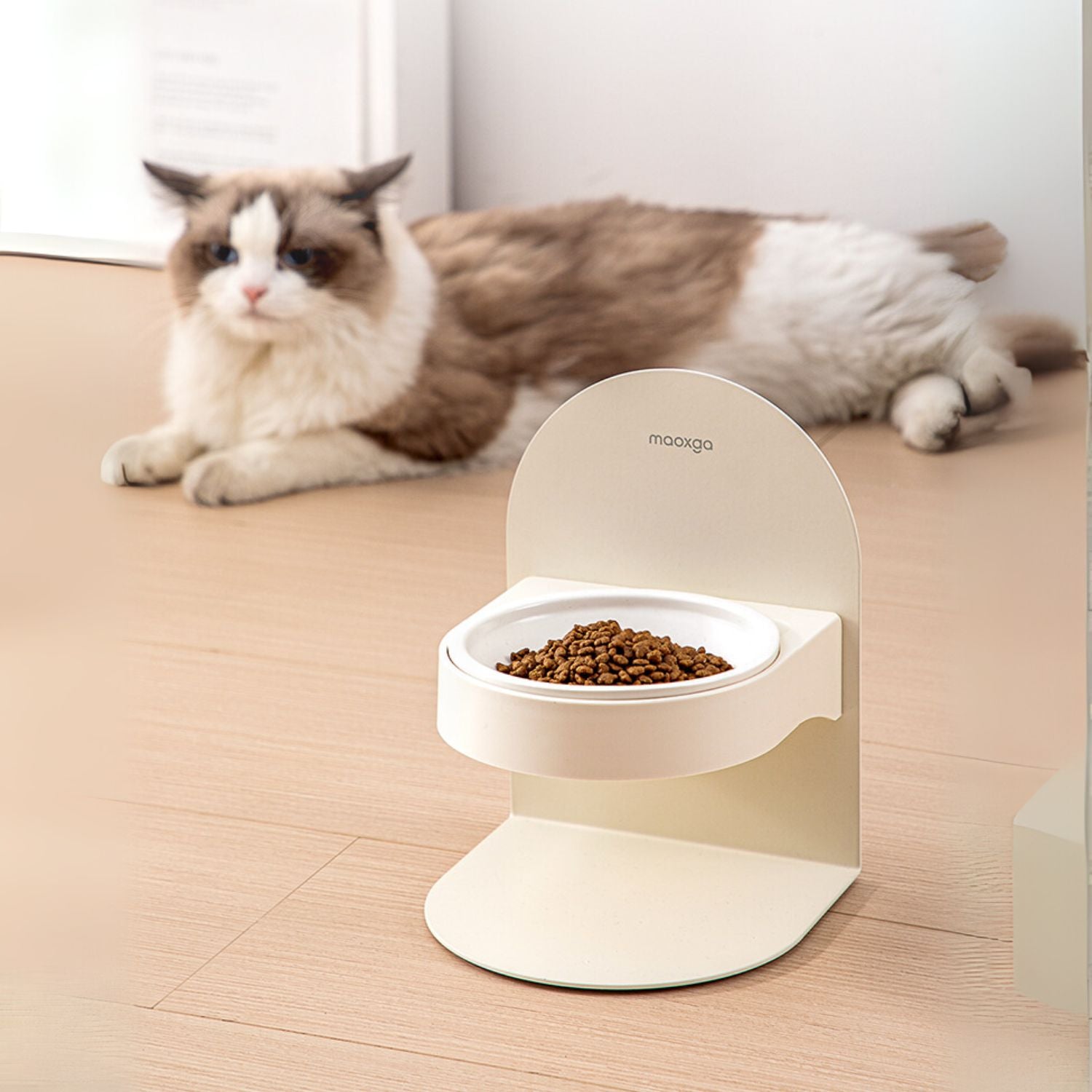 kattenkom keramiek verhoogd verhoogde kattenvoerbak met kat op achtergrond