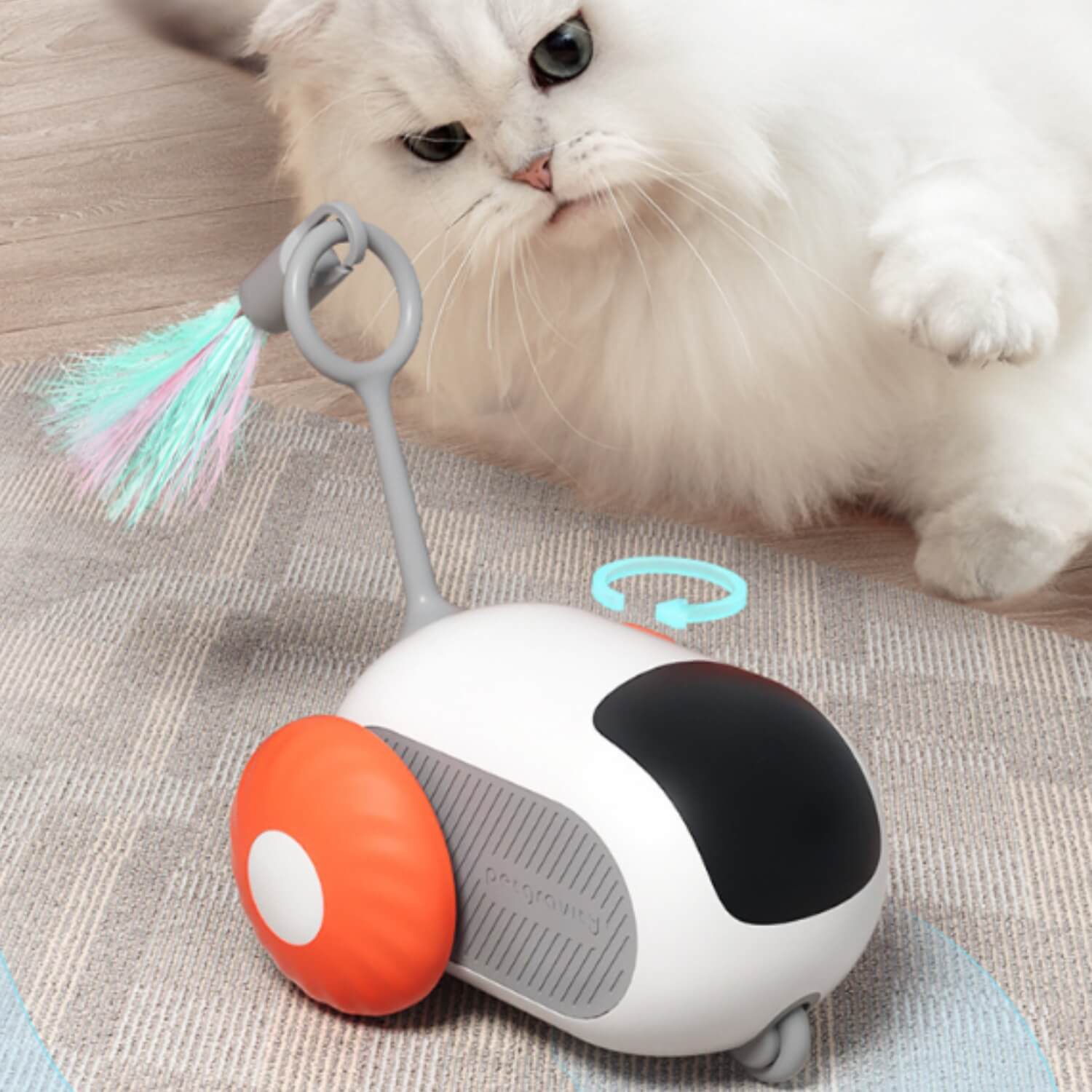 Oplossingen Tegen Verveling Bij Katten