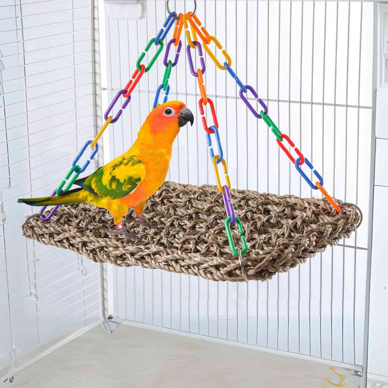 papegaai hangmat regenboog papegaai op hangmat kooi