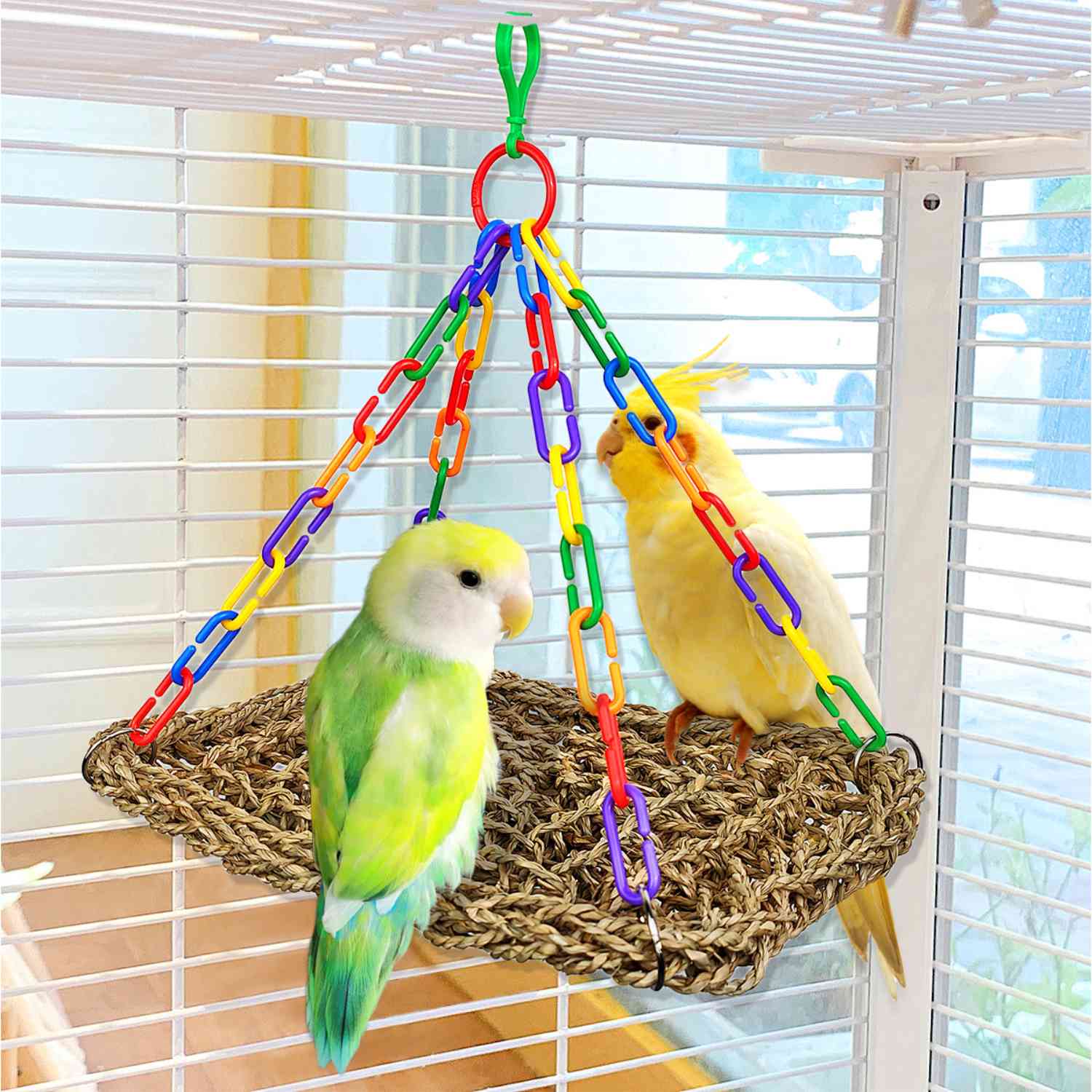 papegaai hangmat regenboog twee vogels op hangmat voor kooien