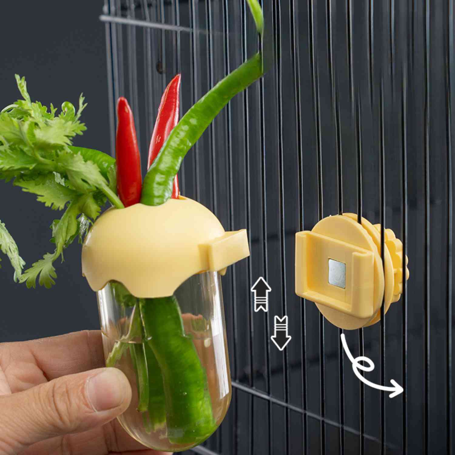 papegaai hydroponische fles geel met peper en koriander installatiehandleiding