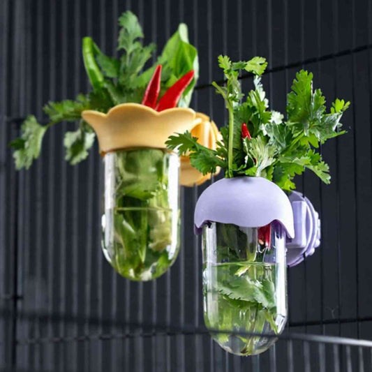 papegaai hydroponische fles lila en geel gevuld met koriander en chili