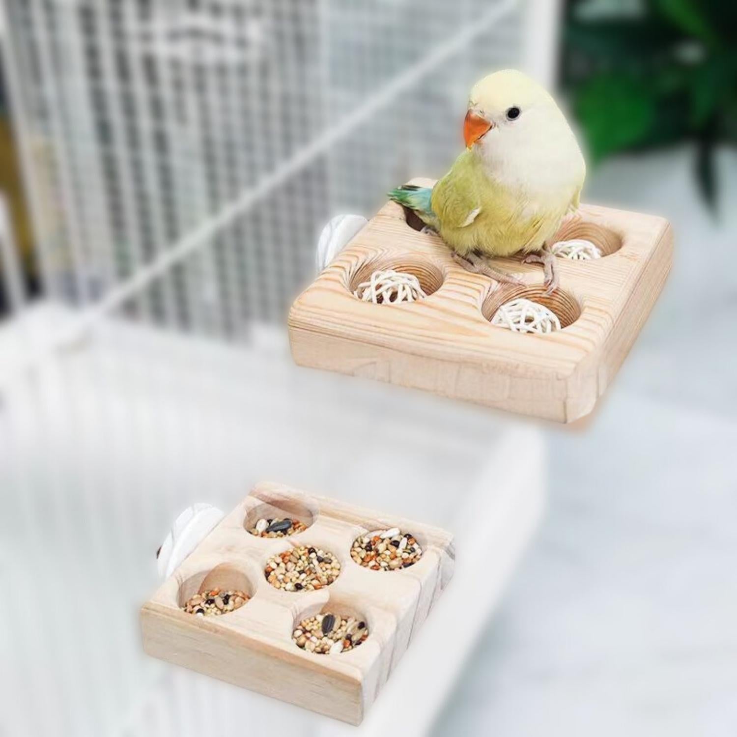 papegaai voeding vooraging speelgoed houten voerplateau met vogel