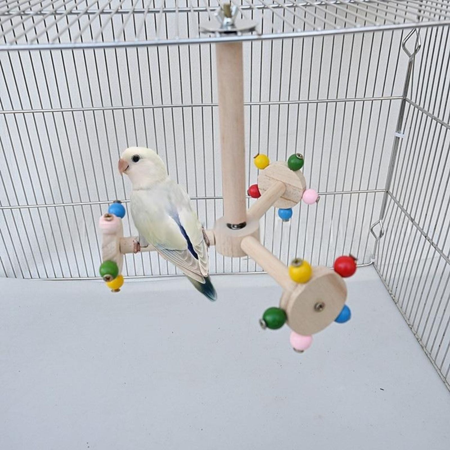 parrot speelstandaard houten perch gekleurde kralen