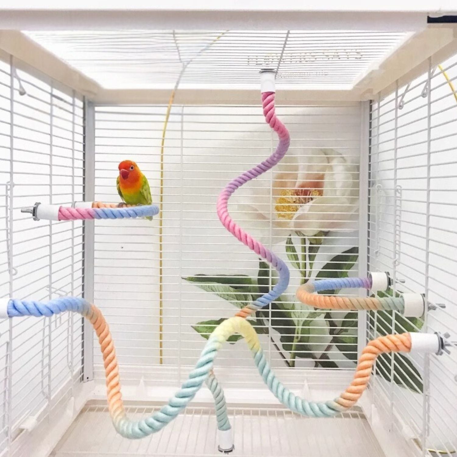 parrot swing touw klimbord voor vogels en parkieten