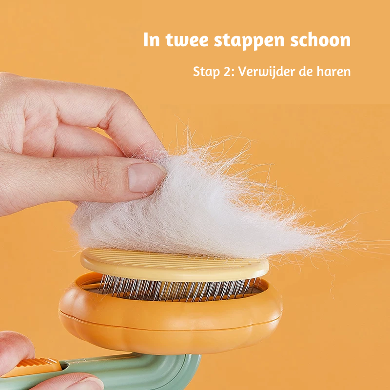 twee stappen schoonmaken van de pompoen borstel