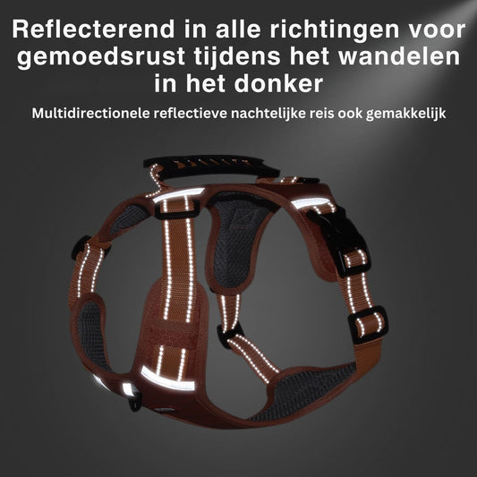 reflecterend hondenharnas met multidirectionele verlichting