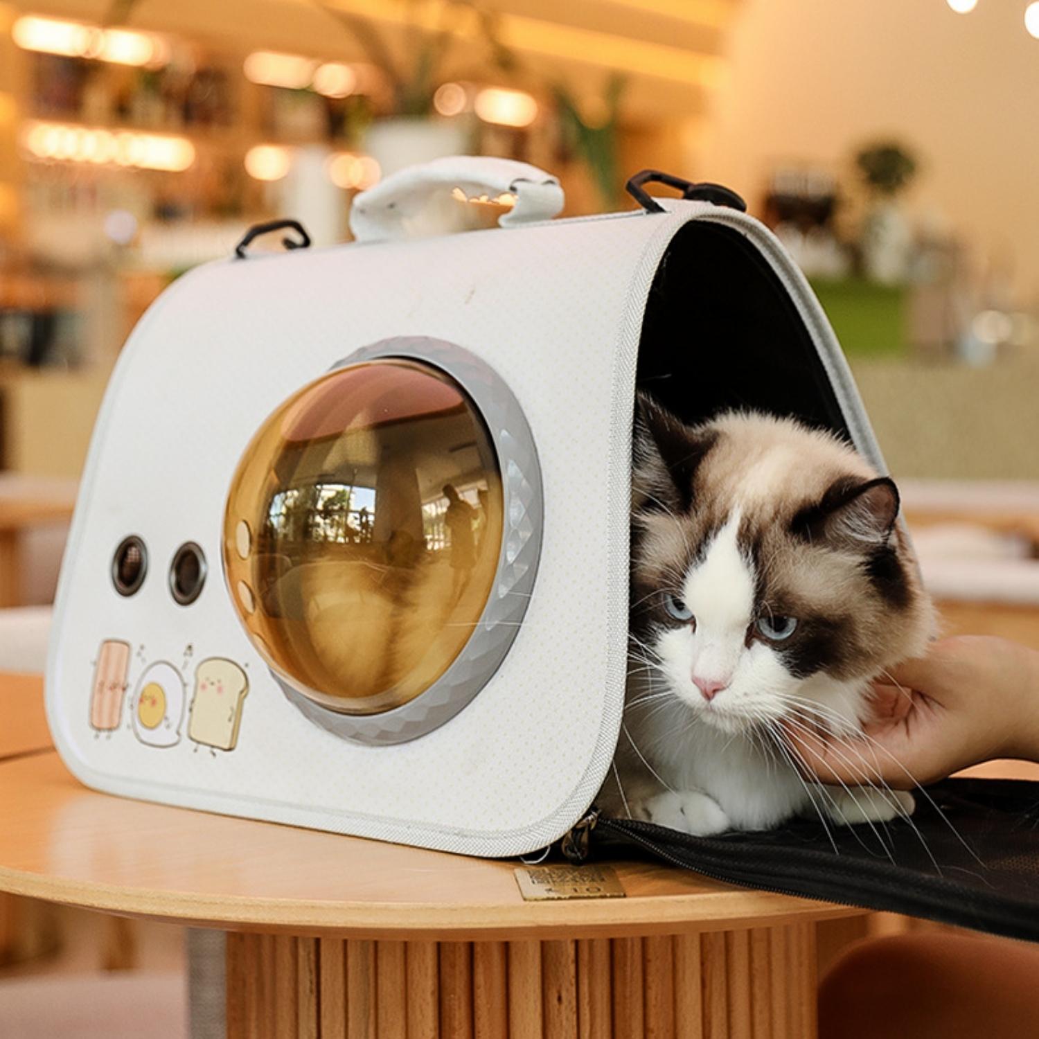 schoudertas kattenmand Kattenmand wit en kitten uit reistas