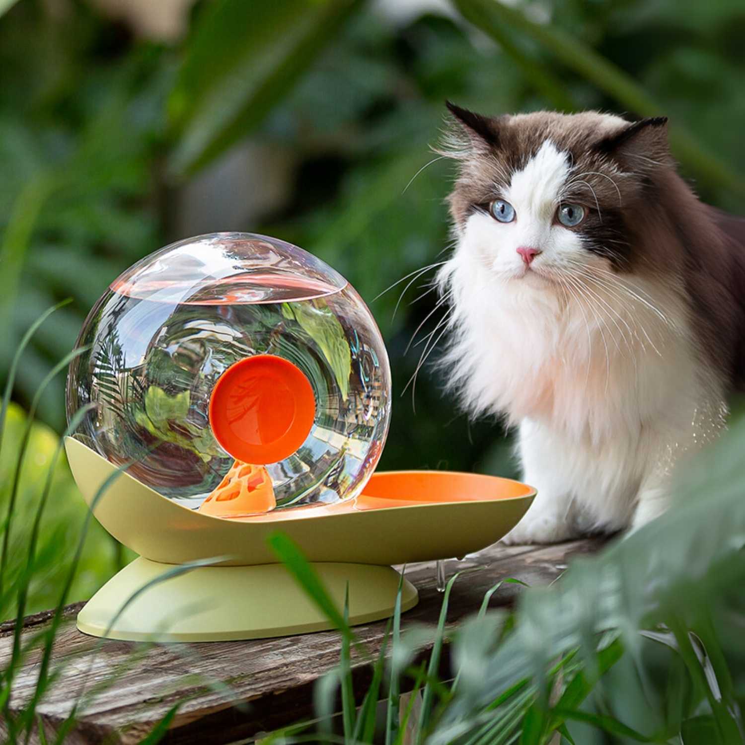 slakken drinkfontein kat buitenfoto met kat en oranje groene fontein